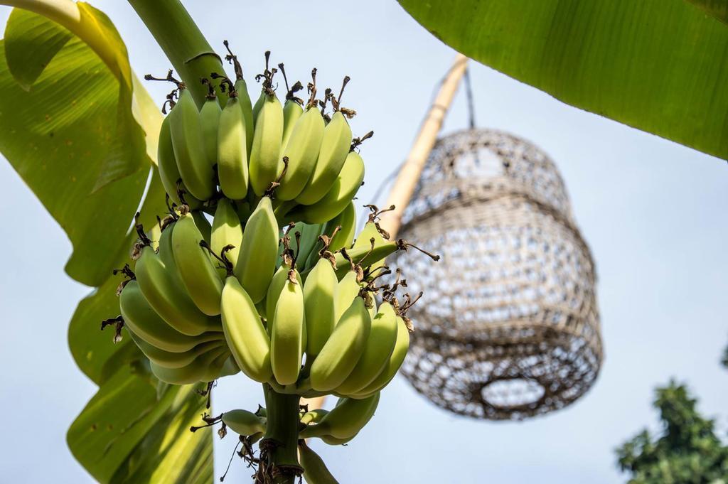 Le Flamboyant Resort Kep Ngoại thất bức ảnh