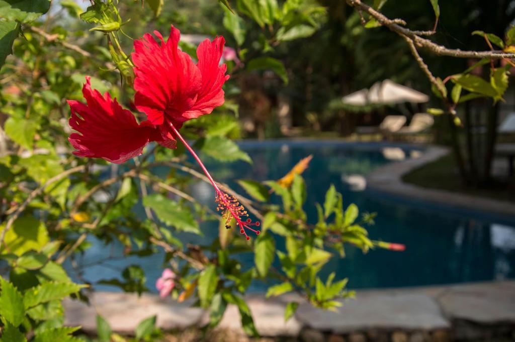 Le Flamboyant Resort Kep Ngoại thất bức ảnh