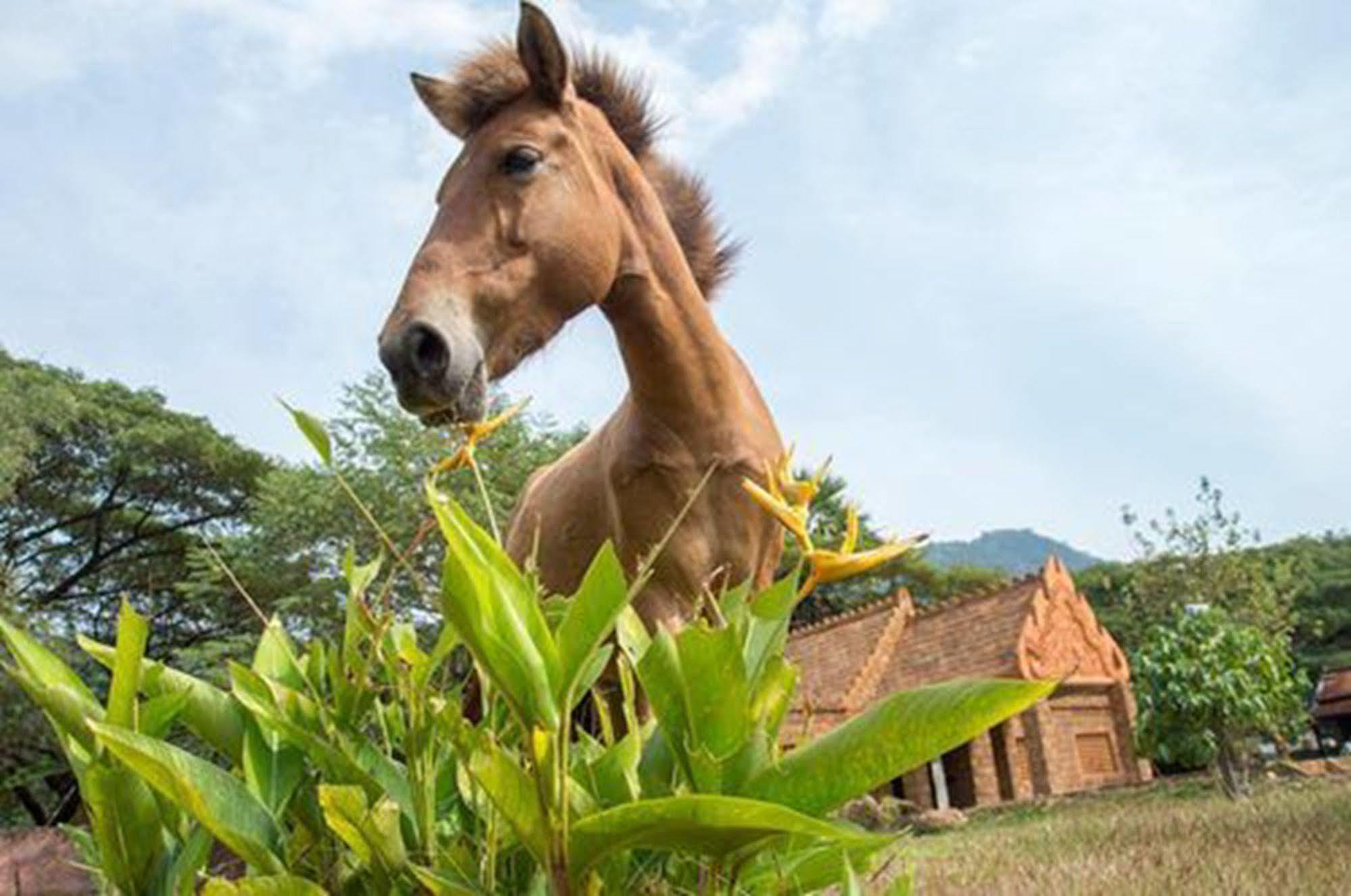 Le Flamboyant Resort Kep Ngoại thất bức ảnh